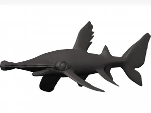 Hammerhead shark 3D Model