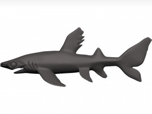 Hammerhead shark 3D Модель