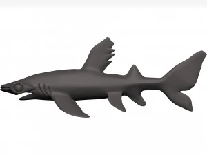 Hammerhead shark 3D Model