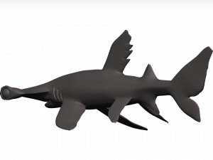 Hammerhead shark 3D Модель