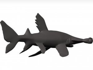 Hammerhead shark 3D Модель