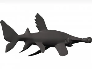 Hammerhead shark 3D Model