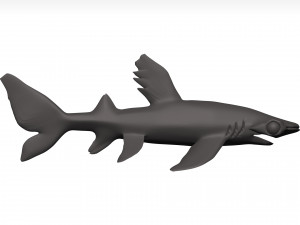 Hammerhead shark 3D Модель