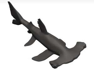 Hammerhead shark 3D Model
