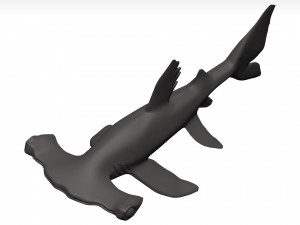Hammerhead shark 3D Модель