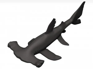 Hammerhead shark 3D Model