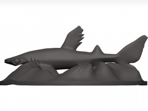 Hammerhead shark 3D Модель