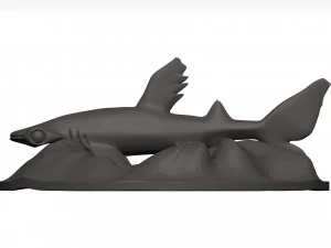 Hammerhead shark 3D Model