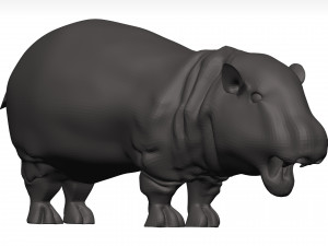 Hippopotamus Model 3D