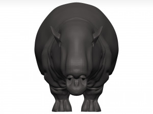 Hippopotamus 3D Модель