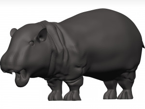 Hippopotamus 3D Модель