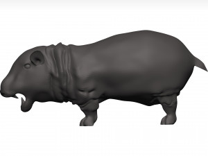 Hippopotamus 3D Модель