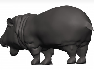 Hippopotamus 3D Модель