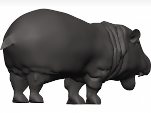 Hippopotamus 3D Модель