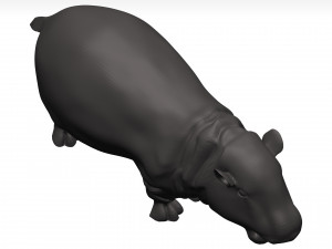 Hippopotamus 3D Модель