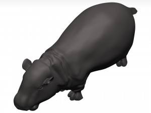 Hippopotamus 3D Модель