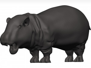 Hippopotamus 3D Модель