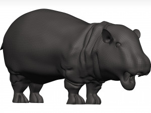 Hippopotamus 3D Модель