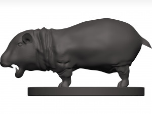 Hippopotamus 3D Модель