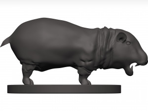Hippopotamus 3D Модель
