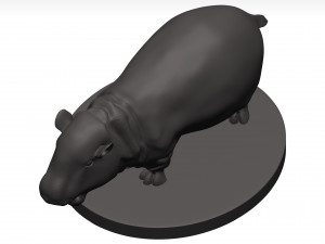 Hippopotamus 3D Модель