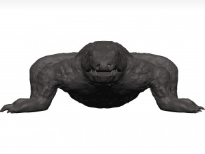 Komodo dragon Modelo 3D