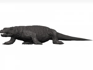 Komodo dragon 3D Model