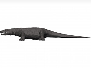 Komodo dragon Modelo 3D