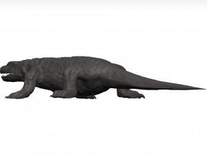 Komodo dragon Modelo 3D