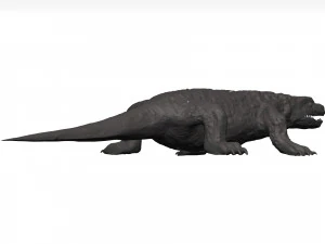 Komodo dragon 3D Model