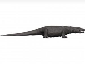 Komodo dragon Modelo 3D