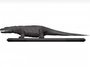 Komodo dragon Modelo 3D