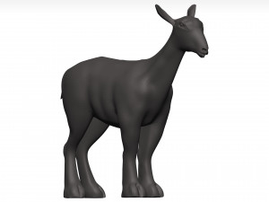 Markhor Modelo 3D