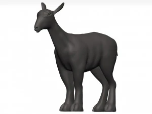 Markhor 3D Model