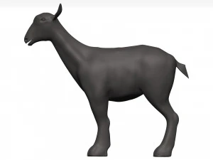 Markhor 3D Model