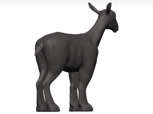 Markhor 3D Модель