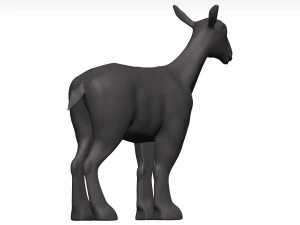 Markhor 3D Model