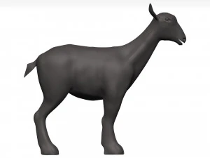 Markhor 3D Model