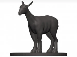 Markhor 3D Model