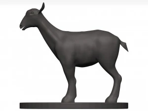 Markhor 3D Model
