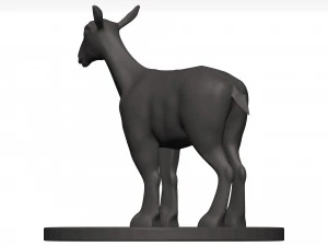 Markhor 3D Model