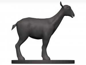 Markhor 3D Model