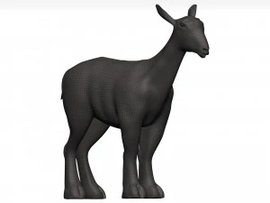 Markhor 3D Model