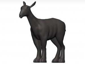Markhor 3D Модель