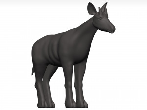 Okapi 3D Model