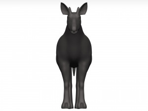 Okapi Model 3D