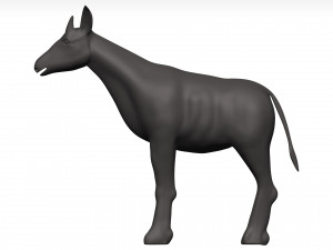 Okapi Model 3D