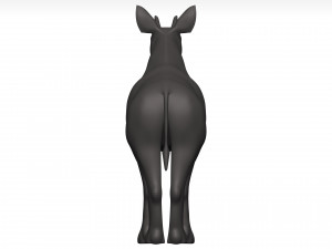 Okapi Model 3D