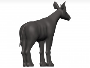 Okapi Model 3D