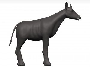 Okapi Model 3D